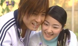 熏衣草电视剧,爱在紫藤花开时