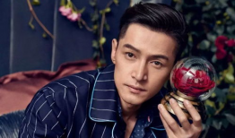 胡歌电视剧,从古装传奇到现代都市的华丽蜕变